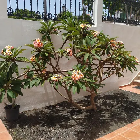 Punta Negra Lägenhet Puerto de Santiago (Tenerife)